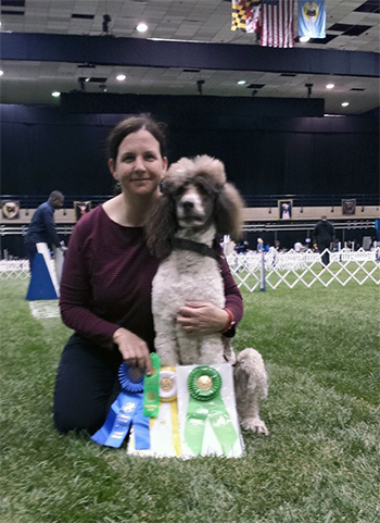 Jib and Rachel Poodle Specialty